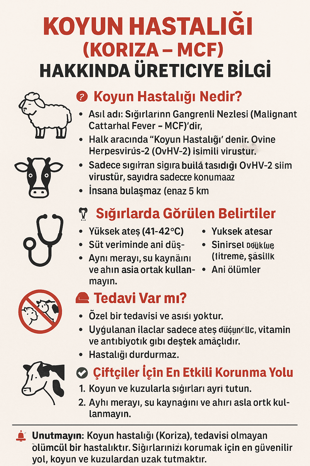 📌 Koyun Hastalığı (Koriza – MCF) Hakkında Üreticiye Bilgi
